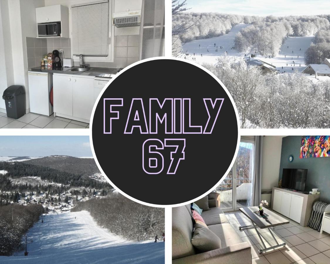 Pierrefiche  T2 Avec Piscine-Le Family 67 아파트 외부 사진